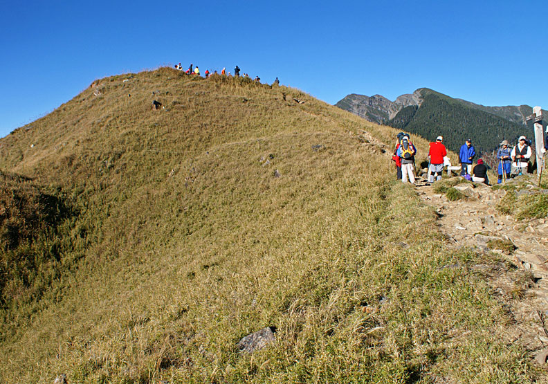 wikipedia by Peellden