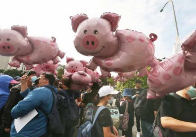 30年來規模最大秋鬥，誓除三大毒魔王！悼萊豬毒台、民主已死