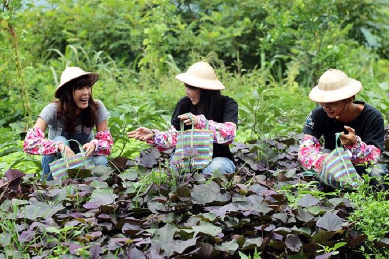 仙湖休閒農場的農村廚房，從農事體驗。