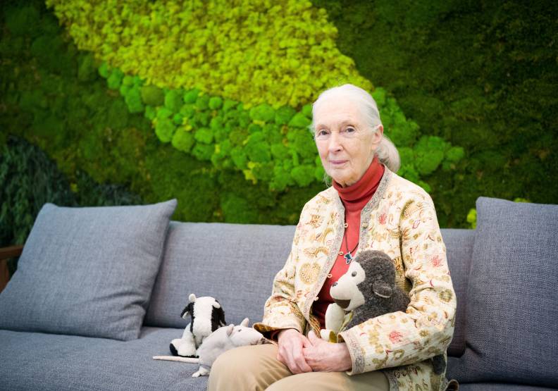 動物學家珍古德畢生關注環境保護與保育問題，提醒世人要留意大自然力量的反撲。