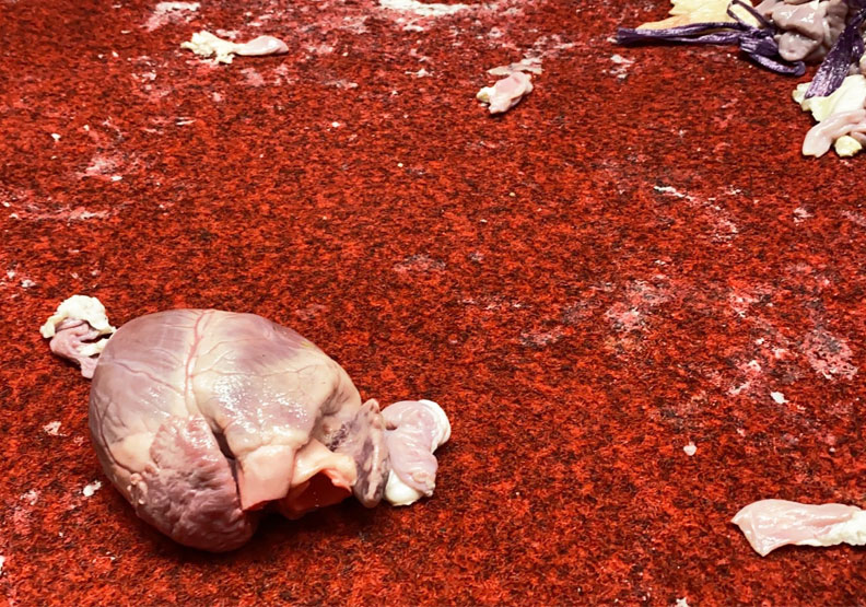 立院今(27日)上演豬皮、豬內臟大戰。