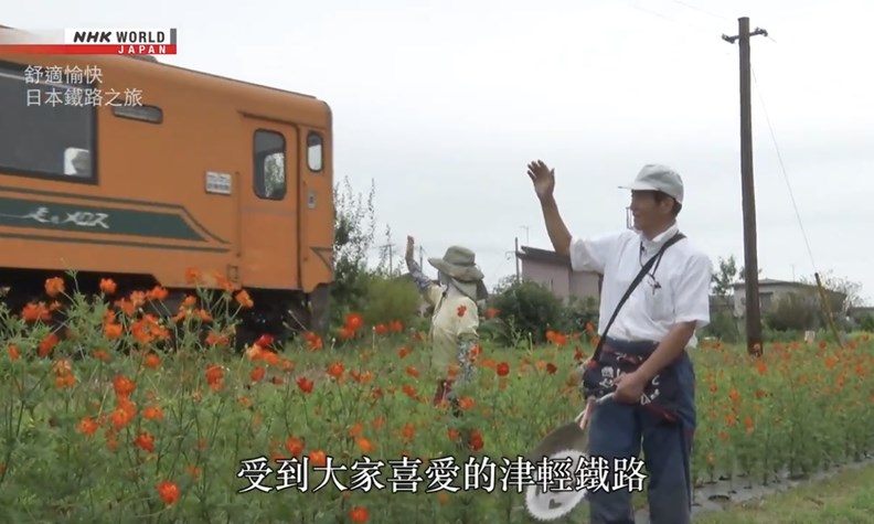 沿線居民還主動栽種花景。增加津輕鐵路的吸引力。(圖片來源:NHK)