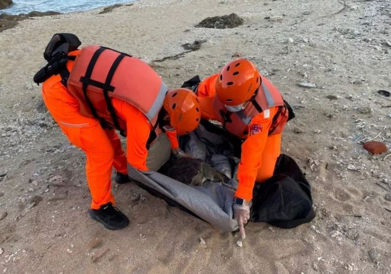 今年累計24件海龜救援案,其中就有26隻死亡海龜,僅有2隻是活海龜