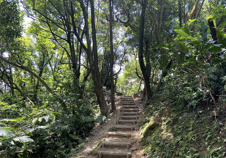 大棟山名列台灣小百岳之一,沿途步道景致優美。新北市政府觀光局提供