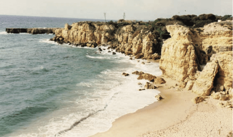 Jack 當時看到的 Praia da Oura 。取自5050-Man