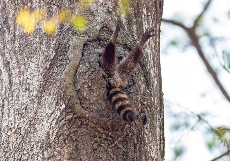 差不多該起床了（Almost time to get up），Charlie Davidson攝
