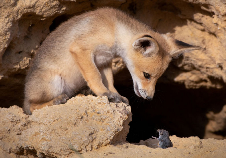 艱難的談判（Tough negotiations），Ayala Fishaimer攝