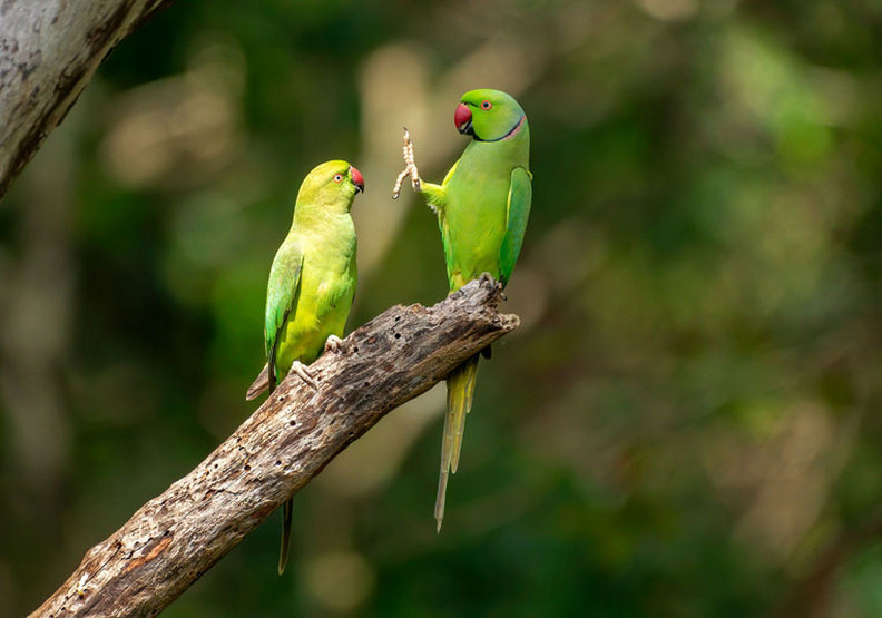 請保持社交距離（Social distance, please!），Petr Sochman攝