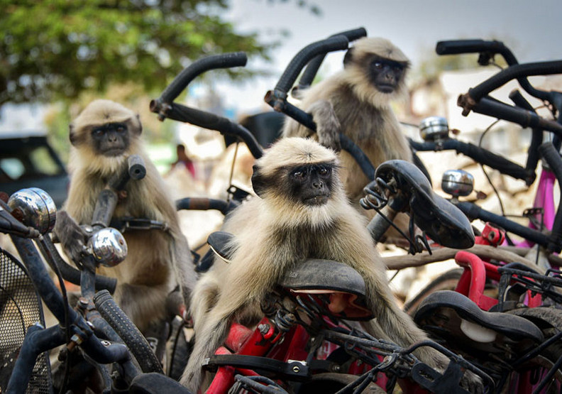 競賽（The race），Yevhen Samuchenko攝
