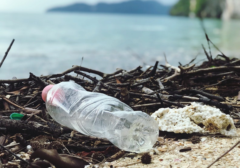 微塑膠毒害海洋生物後代 台研究發現死亡率增3倍