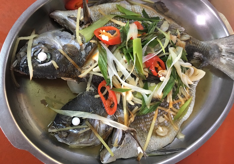 建議以清蒸、煮湯方式料理。作者柯俊銘提供