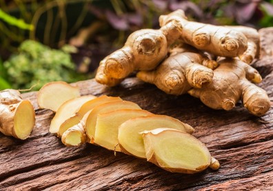 嫩薑、粉薑、老薑怎麼保存才對？薑發芽還能吃嗎？農糧署解答