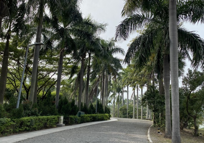 高雄市立美術館的園區。