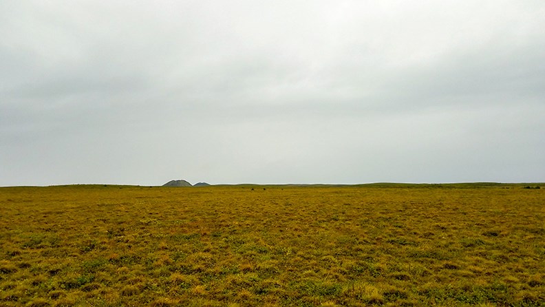 前往圖克鎮之前,路旁都是這樣的凍原,一棵樹都沒有,只有冰丘(Pingos)。