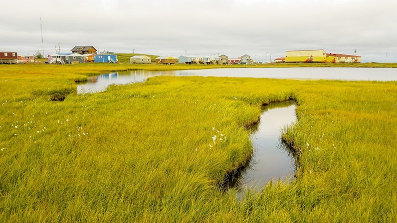 圖克托亞圖克鎮上一景,夏天其實還挺綠的。