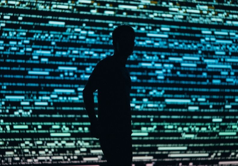 圖／取自unsplash。 