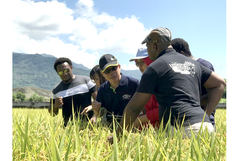 王裕民教授帶領國際生下田教學並進行觀測。