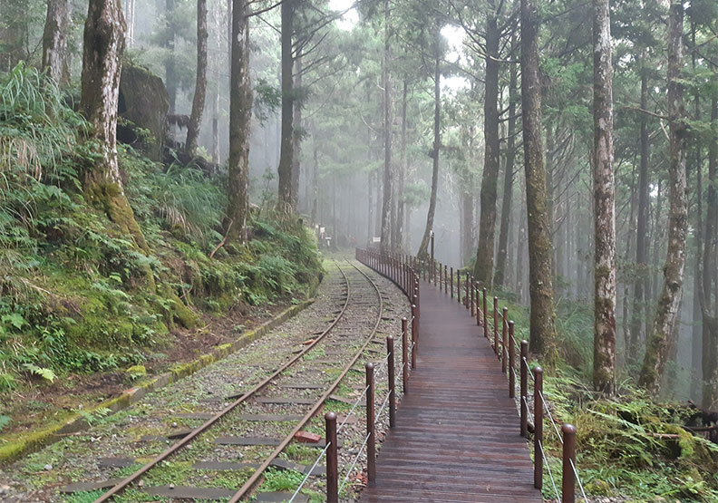 太平山。Klook提供