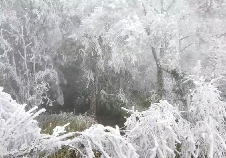太平山靄靄白雪／羅東林管處提供