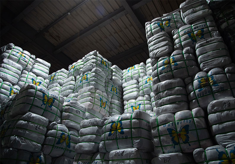 正川的品牌Logo:「Butterfly」和「Taiwan King」。池孟諭攝