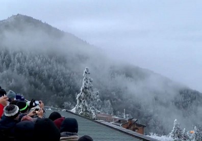 太平山2021第一場雪！超美山毛櫸步道宛如北國世界