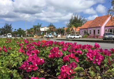 蕾哈娜故鄉邀請你Long Stay！加勒比海巴貝多給你一年份的美麗海灘