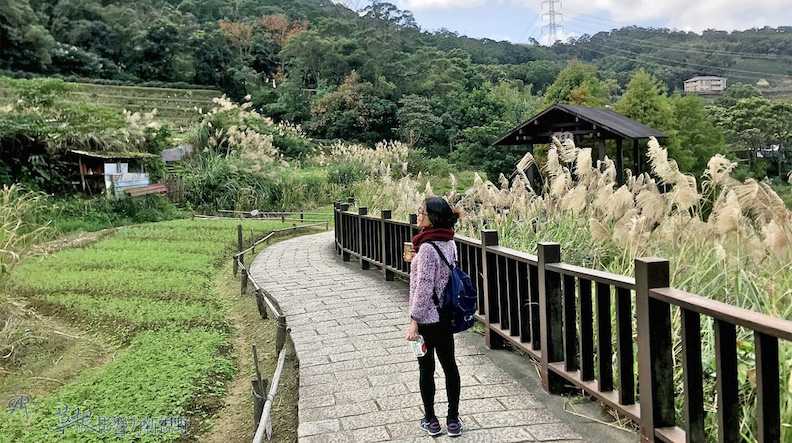 取自草根影響力新視野
