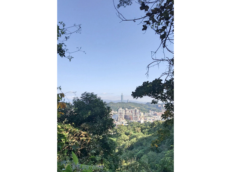取自草根影響力新視野