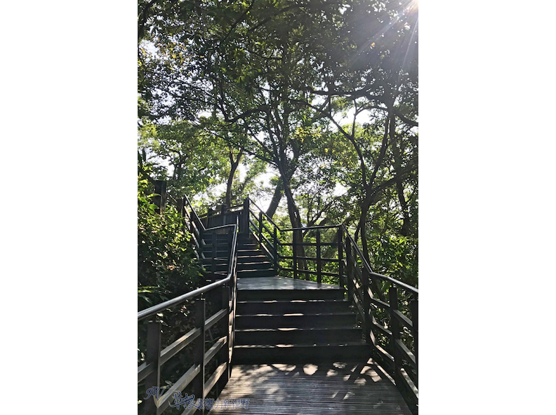 取自草根影響力新視野