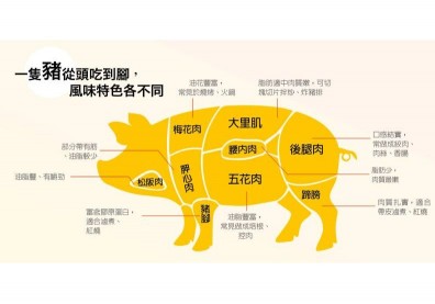 一圖看懂松阪豬！國產豬肉占九成，就是不愛萊克多巴胺和美豬
