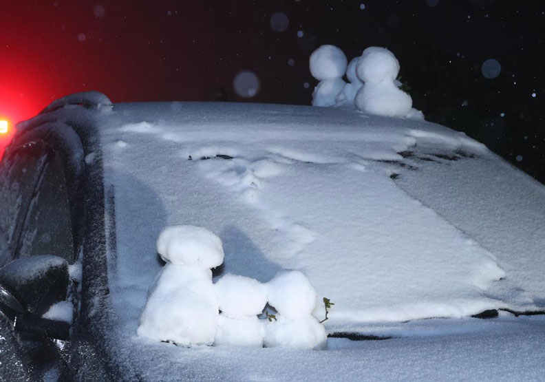 陽明山下雪了！ 雪人、寵物造型都吸睛