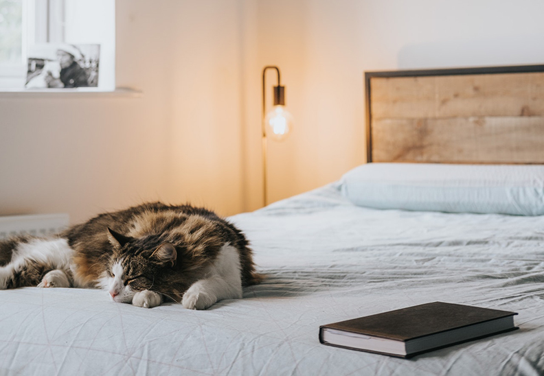 僅為情境圖。取自pexels