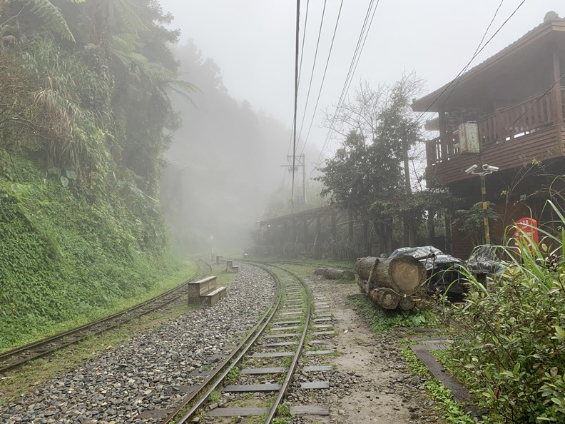目前能通行的林鐵路線,最遠只到十字路車站。