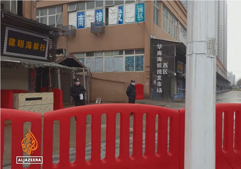 圖／擷取自「半島電視台調查：絆住全世界的3天」特別節目