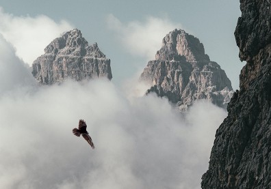 莊子的思想「相對論」：不做「人生勝利組」，也能做「人生幸福組」