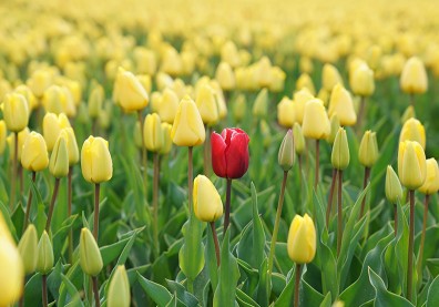 「正常」也是種標籤！肯定獨一無二的自我，「不一樣」正是你獨特的標記