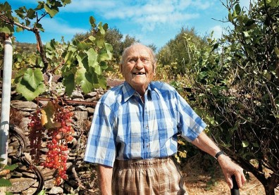 癌末老兵放棄治療回老家，卻活到102歲！希臘長壽島的秘訣：不只是吃什麼，更在於怎麼活