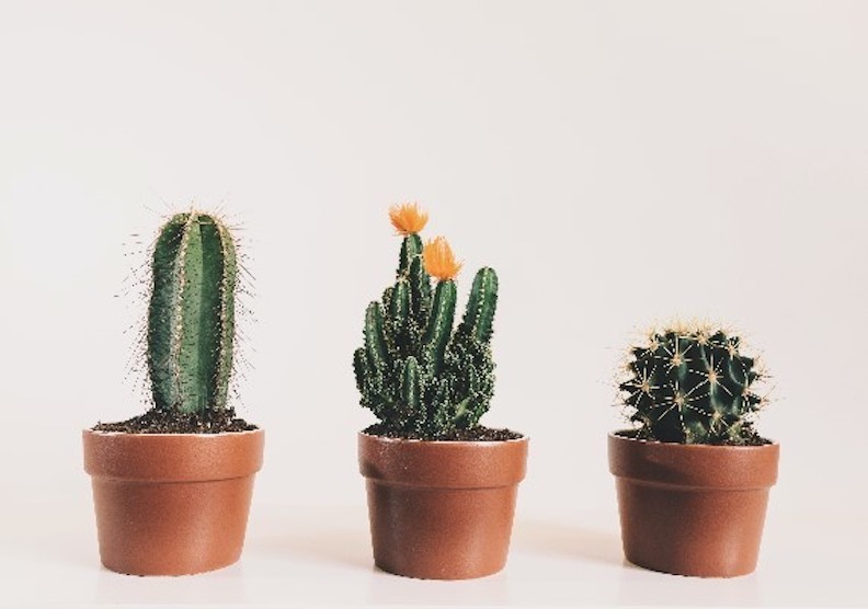 僅為情境圖。取自pexels