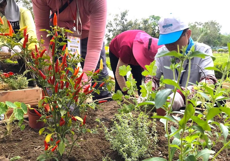 取自Facebook/台糖粉絲團