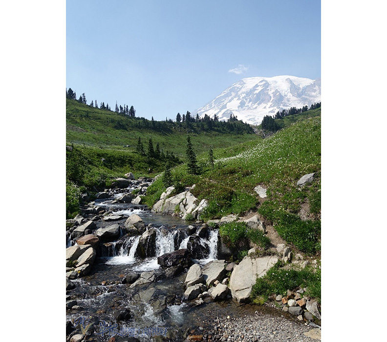 美國雷尼爾山國家公園