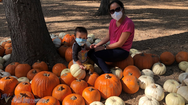 取自草根影響力新視野