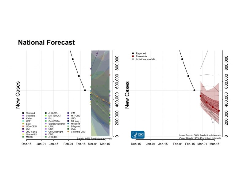 美國新冠肺炎新病例預測圖，數據是得自31個模型群。圖片來自CDC.GOV網站