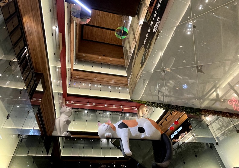 兩隻的大貓像慵懶地躺在樑柱上。