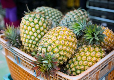 農遊券4.0來了！買600送600，限量9萬份