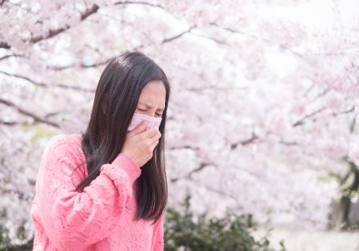 春暖花開賞花趣？日本每４人就有１人！小心「惡魔光環」花粉症，害你噴嚏、鼻水停不了