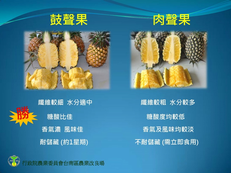 鼓聲果與肉聲果。取自食力