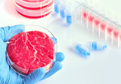 人造牛排不是夢！以色列推出史上第一款「牛細胞」培養肉