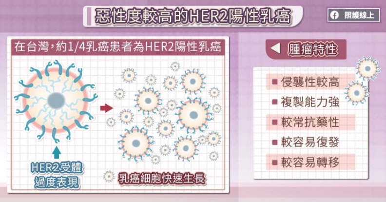 惡性度較高的HER2陽性乳癌。取自照護線上