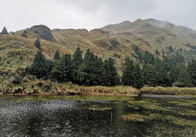 五感體驗「心流」！全球首座都會寧靜公園就在陽明山