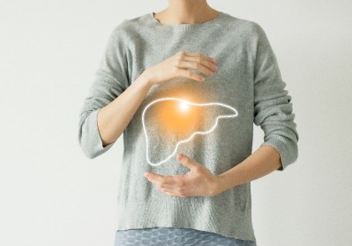 輕忽脂肪肝恐致肝硬化、換肝，圖解斷食、生酮、高蛋白５大飲食法改善效果